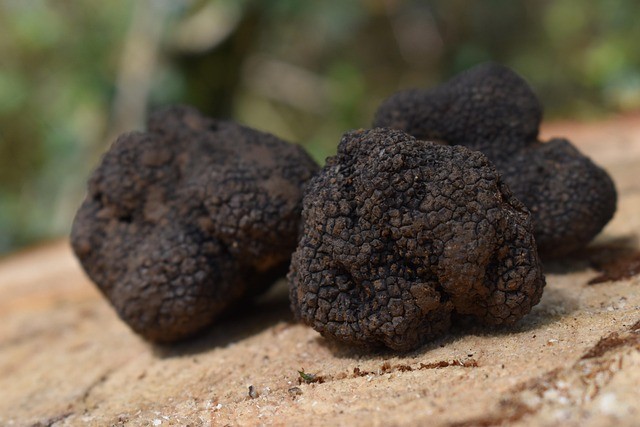 Trufas Negras - Venta De Trufas Negras